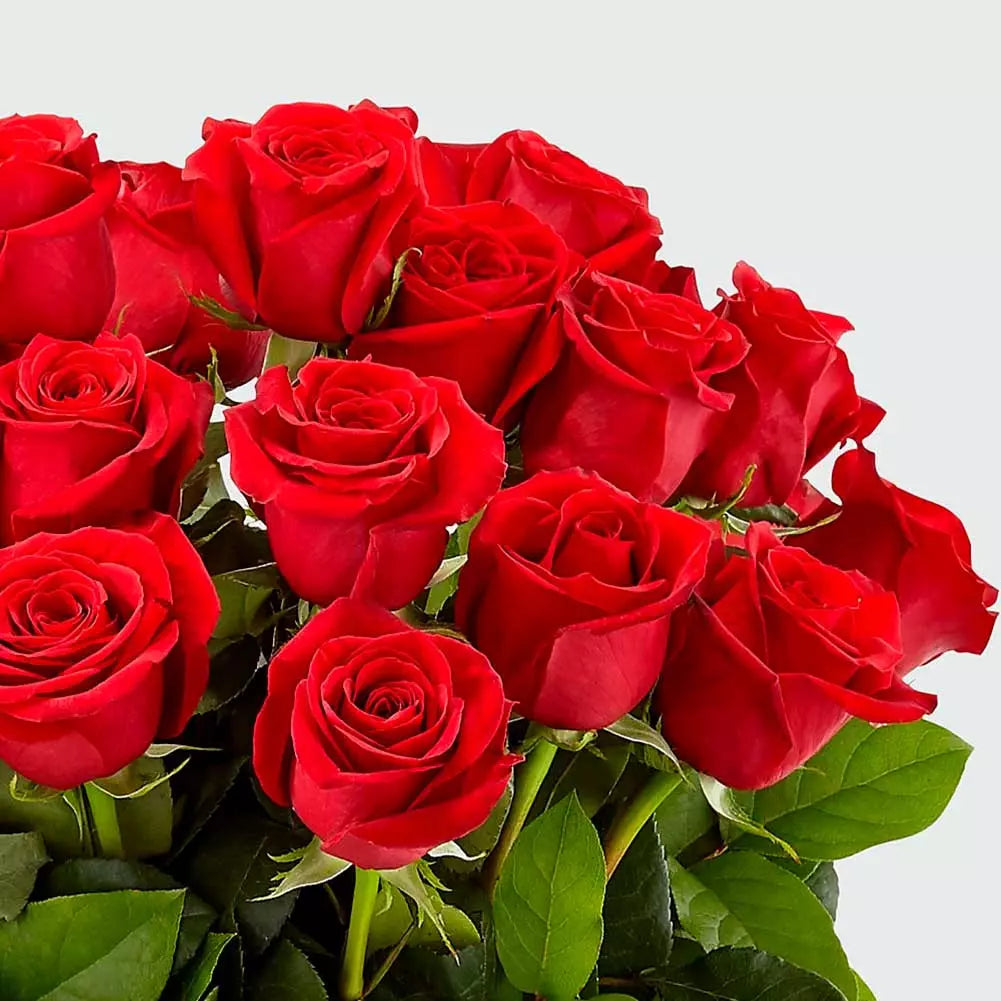 Long-Stem Red Roses Love Blooms