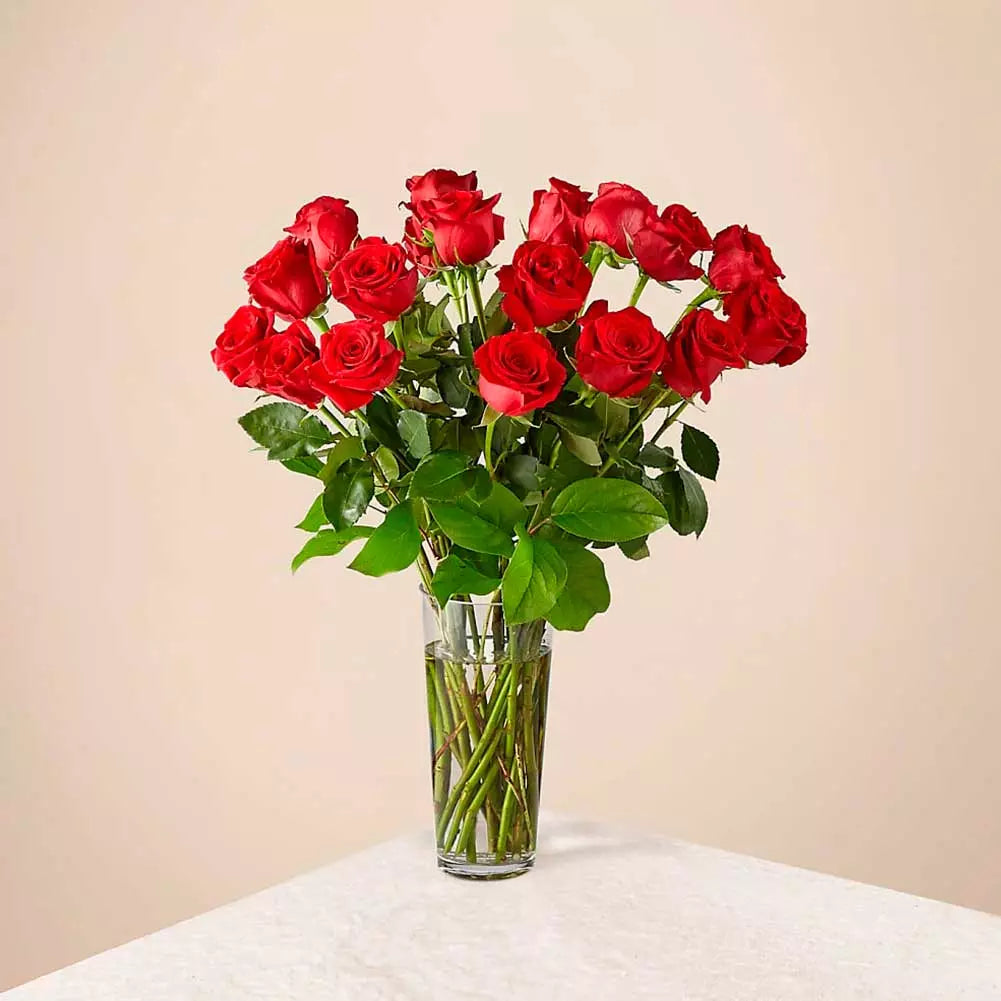 Long-Stem Red Roses Love Blooms