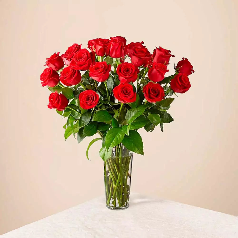 Long-Stem Red Roses Love Blooms