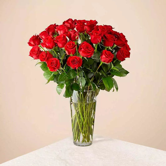 Long-Stem Red Roses Love Blooms