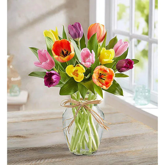 Spring with Tulips