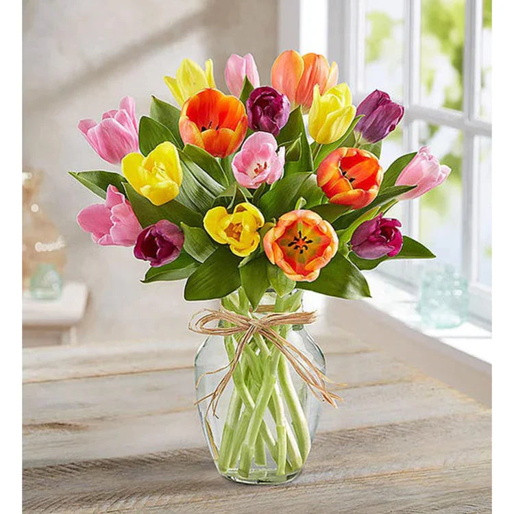 Spring with Tulips